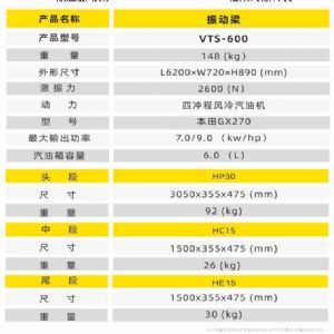 振動(dòng)梁VTS-600